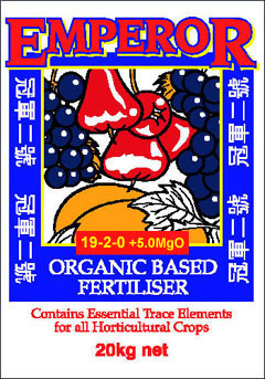 Click Here to return to the Smaller Images